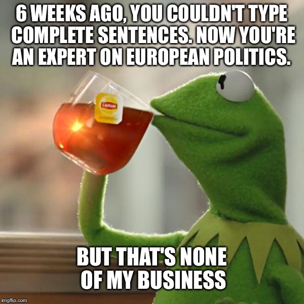 But That's None Of My Business Meme | 6 WEEKS AGO, YOU COULDN'T TYPE COMPLETE SENTENCES. NOW YOU'RE AN EXPERT ON EUROPEAN POLITICS. BUT THAT'S NONE OF MY BUSINESS | image tagged in memes,but thats none of my business,kermit the frog,AdviceAnimals | made w/ Imgflip meme maker