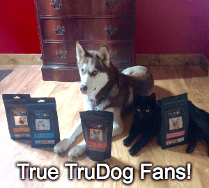 TRUdogs!  | image tagged in gifs,dogs,trudog | made w/ Imgflip images-to-gif maker