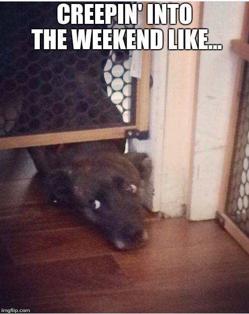 CREEPIN' INTO THE WEEKEND LIKE... | image tagged in weekend | made w/ Imgflip meme maker
