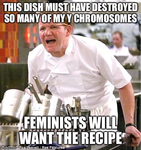 Chef Gordon Ramsay | THIS DISH MUST HAVE DESTROYED SO MANY OF MY Y CHROMOSOMES; FEMINISTS WILL WANT THE RECIPE | image tagged in memes,chef gordon ramsay | made w/ Imgflip meme maker