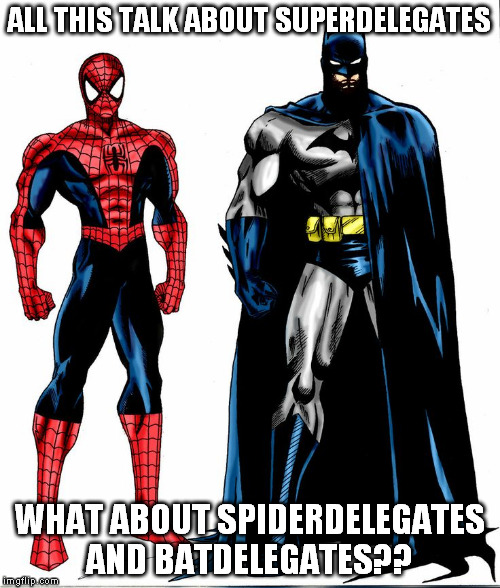 ALL THIS TALK ABOUT SUPERDELEGATES; WHAT ABOUT SPIDERDELEGATES AND BATDELEGATES?? | image tagged in spiderman,batman,election 2016 | made w/ Imgflip meme maker