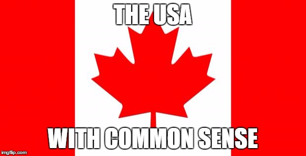 Canada | THE USA; WITH COMMON SENSE | image tagged in canada | made w/ Imgflip meme maker