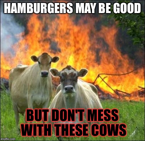 Evil Cows Meme | HAMBURGERS MAY BE GOOD; BUT DON'T MESS WITH THESE COWS | image tagged in memes,evil cows | made w/ Imgflip meme maker