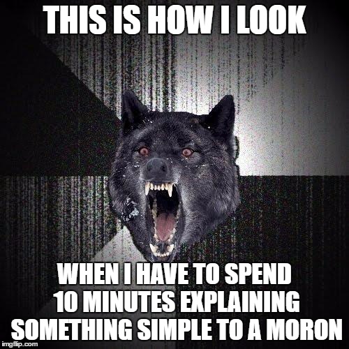 Insanity Wolf Meme | THIS IS HOW I LOOK; WHEN I HAVE TO SPEND 10 MINUTES EXPLAINING SOMETHING SIMPLE TO A MORON | image tagged in memes,insanity wolf | made w/ Imgflip meme maker