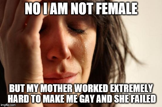 First World Problems Meme | NO I AM NOT FEMALE BUT MY MOTHER WORKED EXTREMELY HARD TO MAKE ME GAY AND SHE FAILED | image tagged in memes,first world problems | made w/ Imgflip meme maker