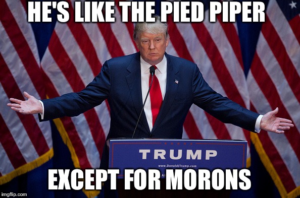 Donald Trump | HE'S LIKE THE PIED PIPER; EXCEPT FOR MORONS | image tagged in donald trump | made w/ Imgflip meme maker