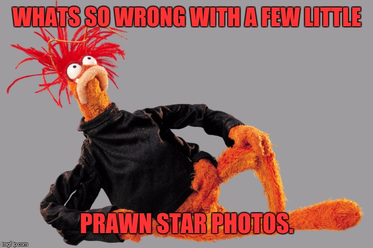 WHATS SO WRONG WITH A FEW LITTLE PRAWN STAR PHOTOS. | made w/ Imgflip meme maker