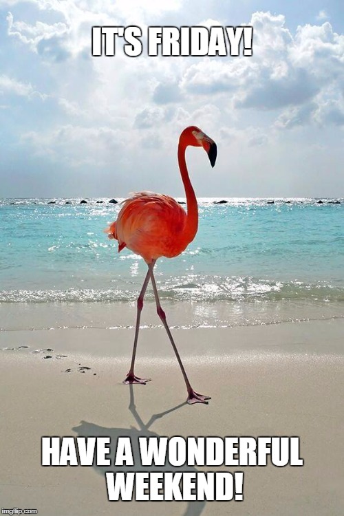 Pink Flamingo | IT'S FRIDAY! HAVE A WONDERFUL WEEKEND! | image tagged in pink flamingo | made w/ Imgflip meme maker