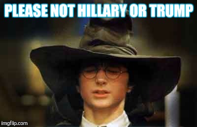 Harry Potter sorting hat | PLEASE NOT HILLARY OR TRUMP | image tagged in harry potter sorting hat | made w/ Imgflip meme maker