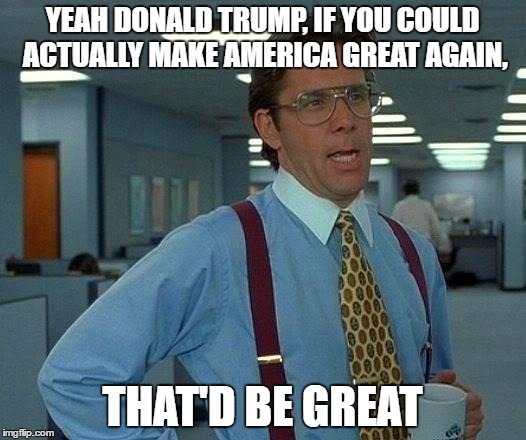 That Would Be Great Meme | YEAH DONALD TRUMP, IF YOU COULD ACTUALLY MAKE AMERICA GREAT AGAIN, THAT'D BE GREAT | image tagged in memes,that would be great | made w/ Imgflip meme maker