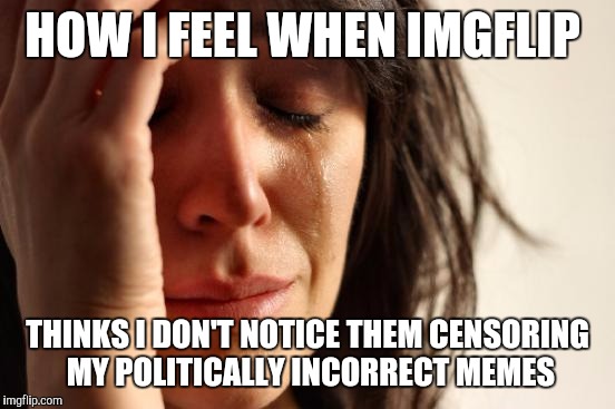 Am I Alone Here...?? | HOW I FEEL WHEN IMGFLIP; THINKS I DON'T NOTICE THEM CENSORING MY POLITICALLY INCORRECT MEMES | image tagged in memes,first world problems,censorship,wtf,that would be great | made w/ Imgflip meme maker