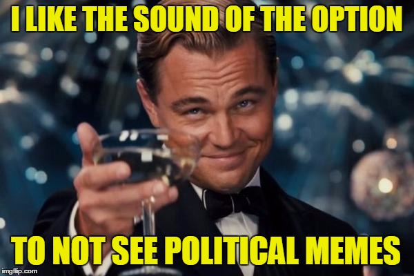 Leonardo Dicaprio Cheers Meme | I LIKE THE SOUND OF THE OPTION TO NOT SEE POLITICAL MEMES | image tagged in memes,leonardo dicaprio cheers | made w/ Imgflip meme maker