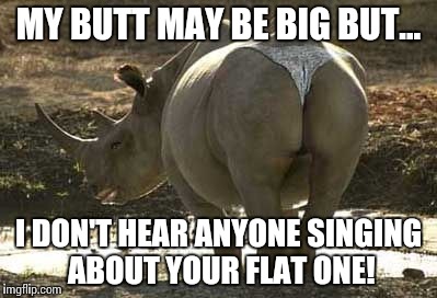 Hippo | MY BUTT MAY BE BIG BUT... I DON'T HEAR ANYONE SINGING ABOUT YOUR FLAT ONE! | image tagged in hippo | made w/ Imgflip meme maker