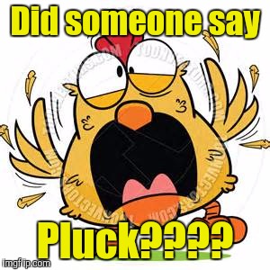 Did someone say Pluck???? | made w/ Imgflip meme maker