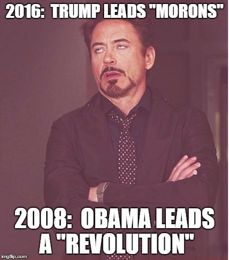 Face You Make Robert Downey Jr Meme | 2016:  TRUMP LEADS "MORONS" 2008:  OBAMA LEADS A "REVOLUTION" | image tagged in memes,face you make robert downey jr | made w/ Imgflip meme maker