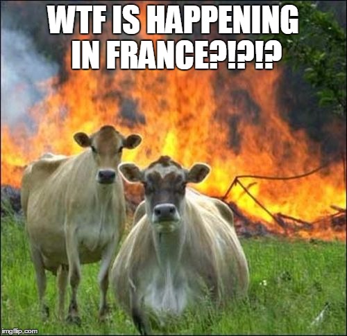 Evil Cows Meme | WTF IS HAPPENING IN FRANCE?!?!? | image tagged in memes,evil cows | made w/ Imgflip meme maker