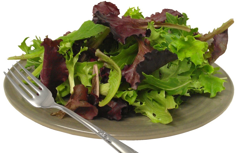 High Quality spring mix salad Blank Meme Template