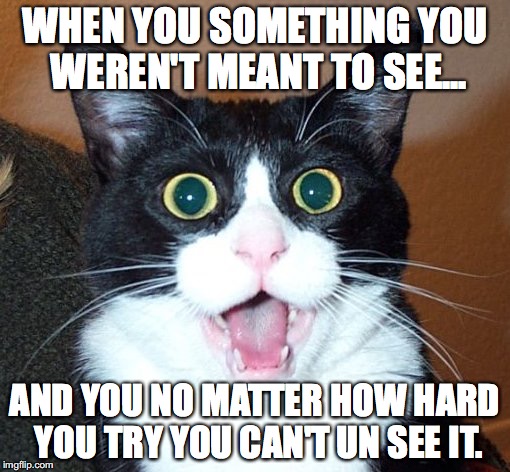 scared for life |  WHEN YOU SOMETHING YOU WEREN'T MEANT TO SEE... AND YOU NO MATTER HOW HARD YOU TRY YOU CAN'T UN SEE IT. | image tagged in cats | made w/ Imgflip meme maker