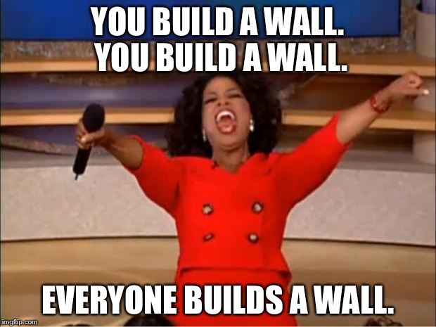 Oprah You Get A Meme | YOU BUILD A WALL. YOU BUILD A WALL. EVERYONE BUILDS A WALL. | image tagged in memes,oprah you get a | made w/ Imgflip meme maker