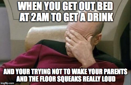 Loud noises  |  WHEN YOU GET OUT BED AT 2AM TO GET A DRINK; AND YOUR TRYING NOT TO WAKE YOUR PARENTS AND THE FLOOR SQUEAKS REALLY LOUD | image tagged in memes,captain picard facepalm | made w/ Imgflip meme maker