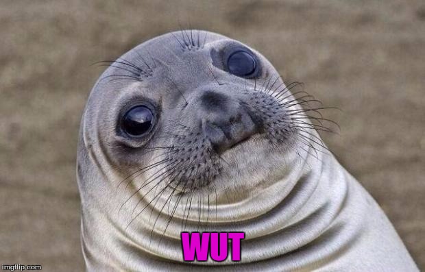 Awkward Moment Sealion Meme | WUT | image tagged in memes,awkward moment sealion | made w/ Imgflip meme maker