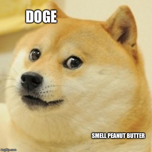 Doge |  DOGE; SMELL PEANUT BUTTER | image tagged in memes,doge,peanut butter,funny | made w/ Imgflip meme maker