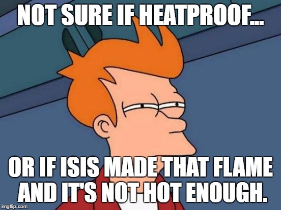 Futurama Fry Meme | NOT SURE IF HEATPROOF... OR IF ISIS MADE THAT FLAME AND IT'S NOT HOT ENOUGH. | image tagged in memes,futurama fry | made w/ Imgflip meme maker