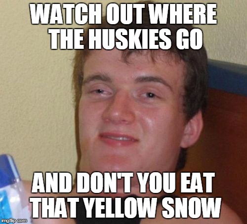 10 Guy | WATCH OUT WHERE THE HUSKIES GO; AND DON'T YOU EAT THAT YELLOW SNOW | image tagged in memes,10 guy | made w/ Imgflip meme maker