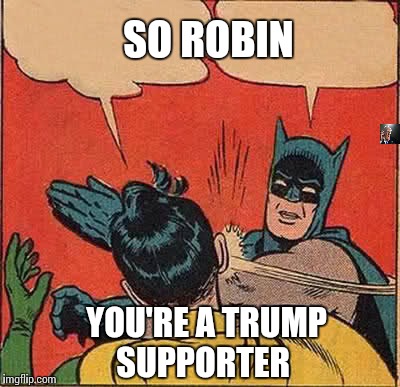Batman Slapping Robin | SO ROBIN; YOU'RE A TRUMP SUPPORTER | image tagged in memes,batman slapping robin | made w/ Imgflip meme maker