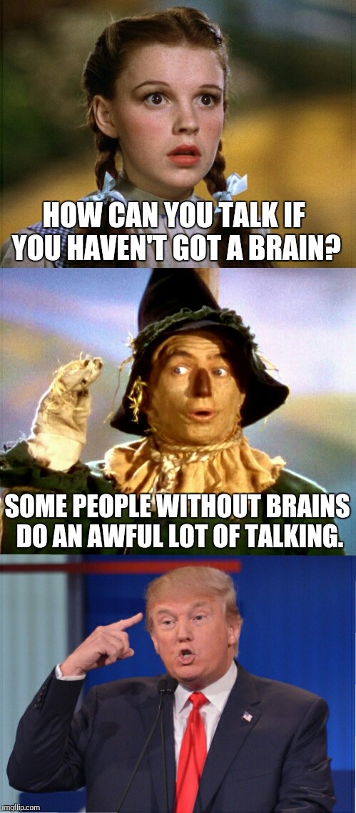 A Real Head Case | HOW CAN YOU TALK IF YOU HAVEN'T GOT A BRAIN? SOME PEOPLE WITHOUT BRAINS DO AN AWFUL LOT OF TALKING. | image tagged in memes | made w/ Imgflip meme maker