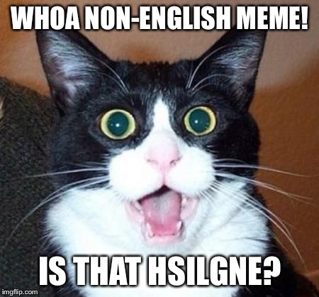 whoa cat | WHOA NON-ENGLISH MEME! IS THAT HSILGNE? | image tagged in whoa cat | made w/ Imgflip meme maker