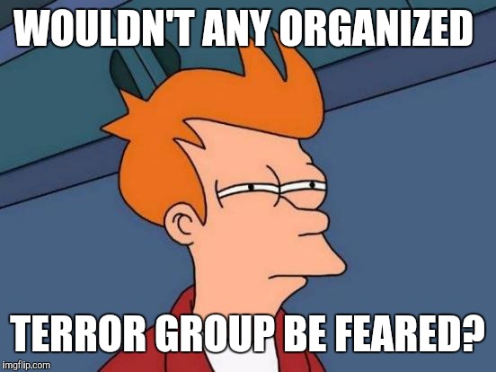 Futurama Fry Meme | WOULDN'T ANY ORGANIZED TERROR GROUP BE FEARED? | image tagged in memes,futurama fry | made w/ Imgflip meme maker