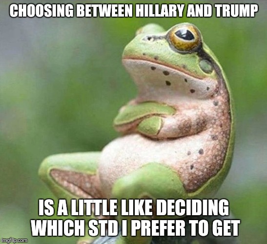 Coming Down With Something |  CHOOSING BETWEEN HILLARY AND TRUMP; IS A LITTLE LIKE DECIDING WHICH STD I PREFER TO GET | image tagged in frog thinking | made w/ Imgflip meme maker