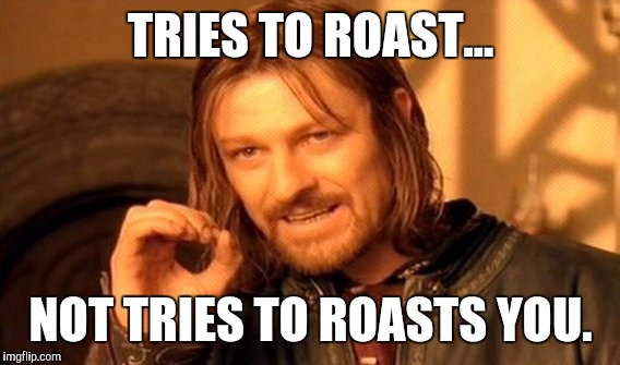 One Does Not Simply Meme | TRIES TO ROAST... NOT TRIES TO ROASTS YOU. | image tagged in memes,one does not simply | made w/ Imgflip meme maker