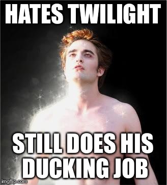 twilight | HATES TWILIGHT; STILL DOES HIS DUCKING JOB | image tagged in twilight | made w/ Imgflip meme maker