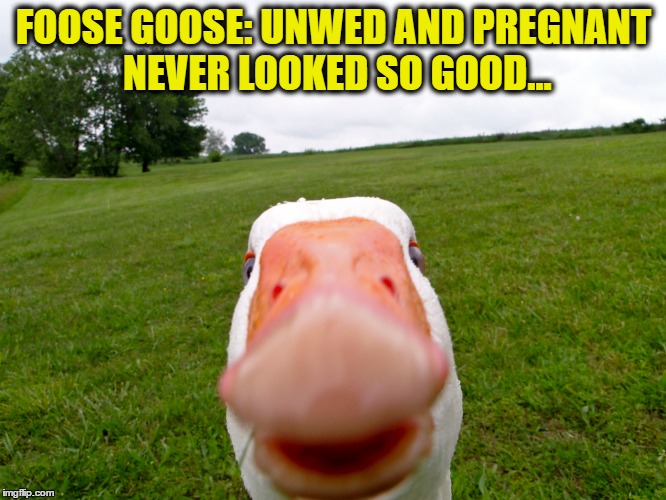 Foose Goose | FOOSE GOOSE: UNWED AND PREGNANT NEVER LOOKED SO GOOD... | image tagged in goose | made w/ Imgflip meme maker