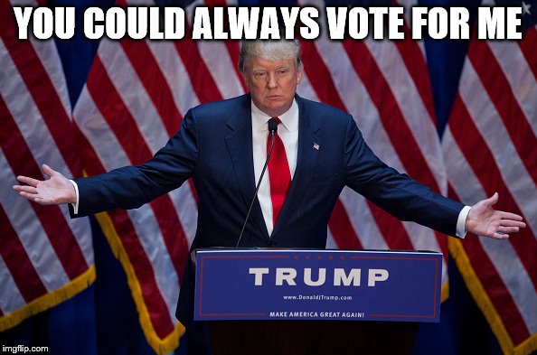 Trump Bruh | YOU COULD ALWAYS VOTE FOR ME | image tagged in trump bruh | made w/ Imgflip meme maker