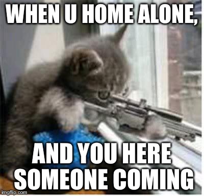 cats with guns | WHEN U HOME ALONE, AND YOU HERE SOMEONE COMING | image tagged in cats with guns | made w/ Imgflip meme maker