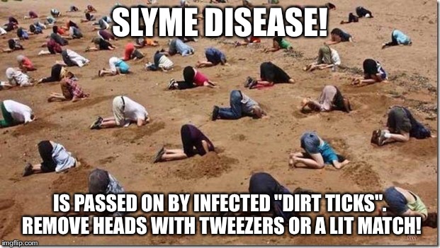 Subterranean Slug Match! | SLYME DISEASE! IS PASSED ON BY INFECTED "DIRT TICKS". REMOVE HEADS WITH TWEEZERS OR A LIT MATCH! | image tagged in head in sand | made w/ Imgflip meme maker