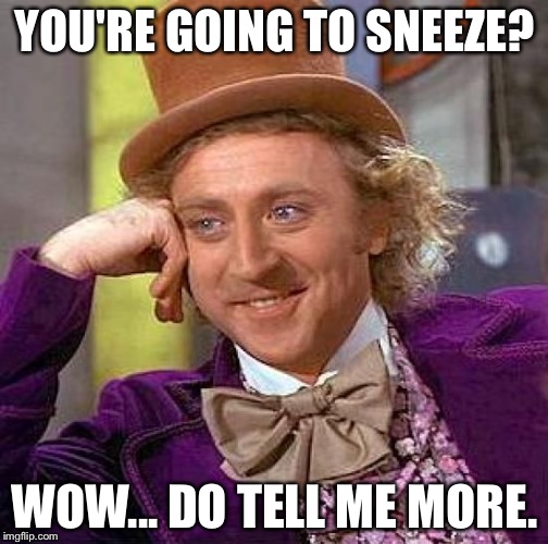 Creepy Condescending Wonka Meme | YOU'RE GOING TO SNEEZE? WOW...
DO TELL ME MORE. | image tagged in memes,creepy condescending wonka | made w/ Imgflip meme maker