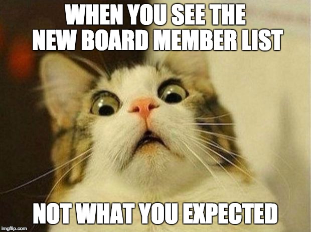 Scared Cat Meme | WHEN YOU SEE THE NEW BOARD MEMBER LIST; NOT WHAT YOU EXPECTED | image tagged in memes,scared cat | made w/ Imgflip meme maker