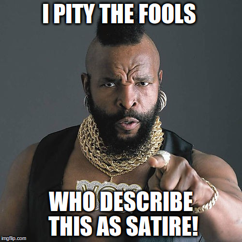 Mr T Pity The Fool | I PITY THE FOOLS; WHO DESCRIBE THIS AS SATIRE! | image tagged in memes,mr t pity the fool | made w/ Imgflip meme maker