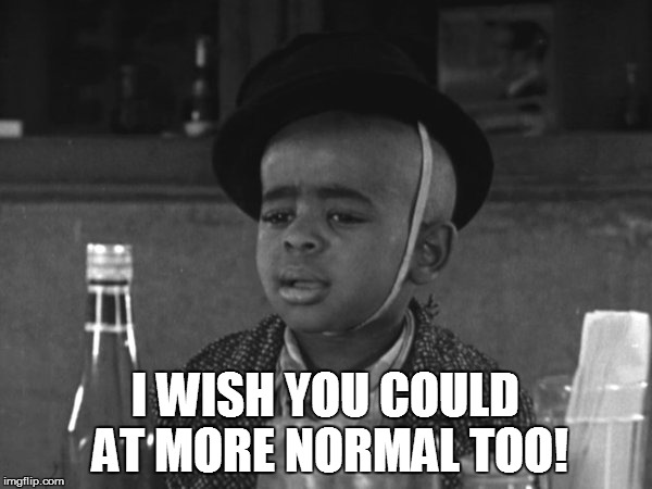 I WISH YOU COULD AT MORE NORMAL TOO! | made w/ Imgflip meme maker