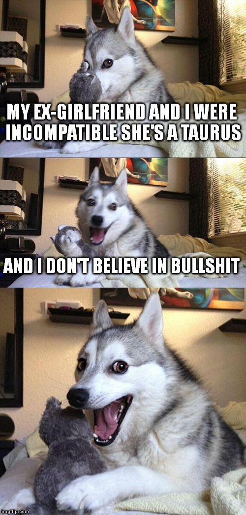 Bad Pun Dog | MY EX-GIRLFRIEND AND I WERE INCOMPATIBLE SHE'S A TAURUS; AND I DON'T BELIEVE IN BULLSHIT | image tagged in memes,bad pun dog | made w/ Imgflip meme maker