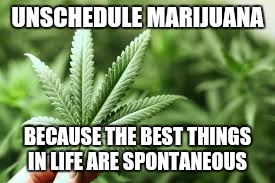 marijuana | UNSCHEDULE MARIJUANA; BECAUSE THE BEST THINGS IN LIFE ARE SPONTANEOUS | image tagged in marijuana | made w/ Imgflip meme maker