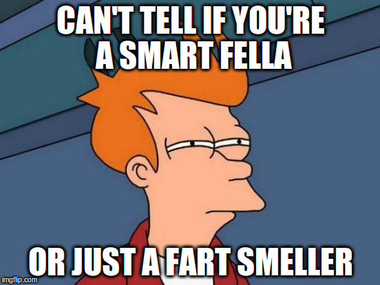 Futurama Fry | CAN'T TELL IF YOU'RE A SMART FELLA; OR JUST A FART SMELLER | image tagged in memes,futurama fry | made w/ Imgflip meme maker