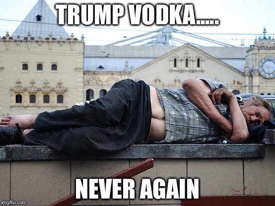 I bet it taste pretty bad too! ( yes im talking to my own meme ) | TRUMP VODKA..... NEVER AGAIN | image tagged in help | made w/ Imgflip meme maker