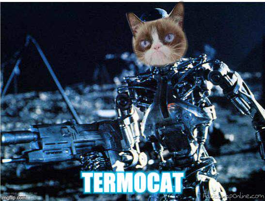 grump cat terminator | TERMOCAT | image tagged in grump cat terminator | made w/ Imgflip meme maker