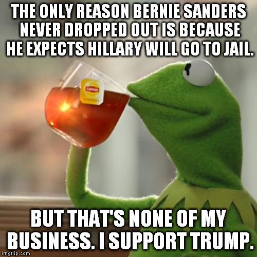 But That's None Of My Business Meme | THE ONLY REASON BERNIE SANDERS NEVER DROPPED OUT IS BECAUSE HE EXPECTS HILLARY WILL GO TO JAIL. BUT THAT'S NONE OF MY BUSINESS. I SUPPORT TRUMP. | image tagged in memes,but thats none of my business,kermit the frog,election 2016 | made w/ Imgflip meme maker