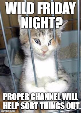 catjail | WILD FRIDAY NIGHT? PROPER CHANNEL WILL HELP SORT THINGS OUT | image tagged in catjail,proper channel | made w/ Imgflip meme maker